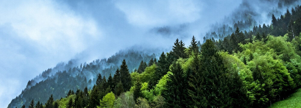 Activator Academy Carbon Literacy Training Reducing emissions relies on every single person in an organisation being aware of the carbon impacts of their choices, and feeling motivated and supported to take action.