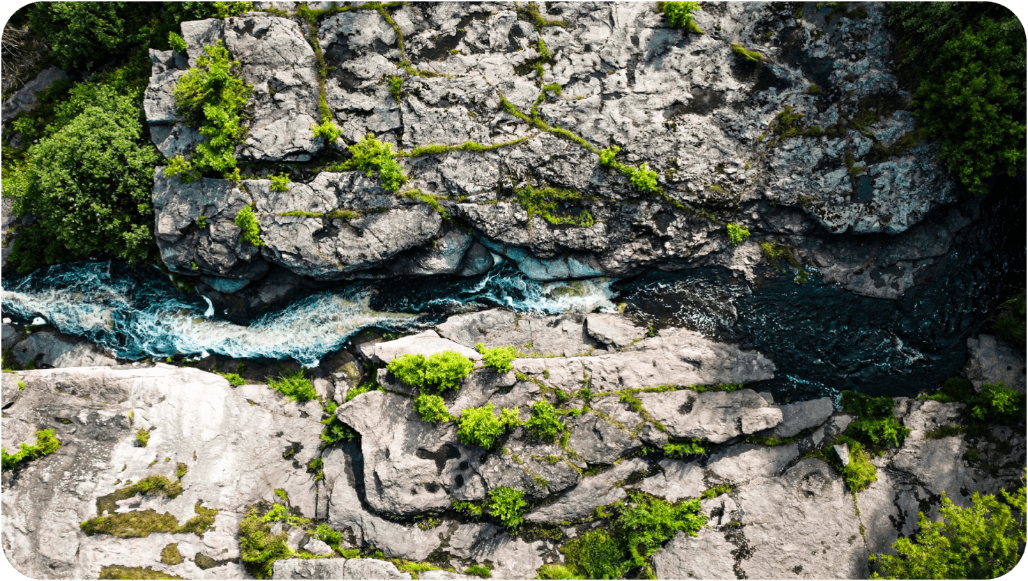 Activator Academy climate essentials