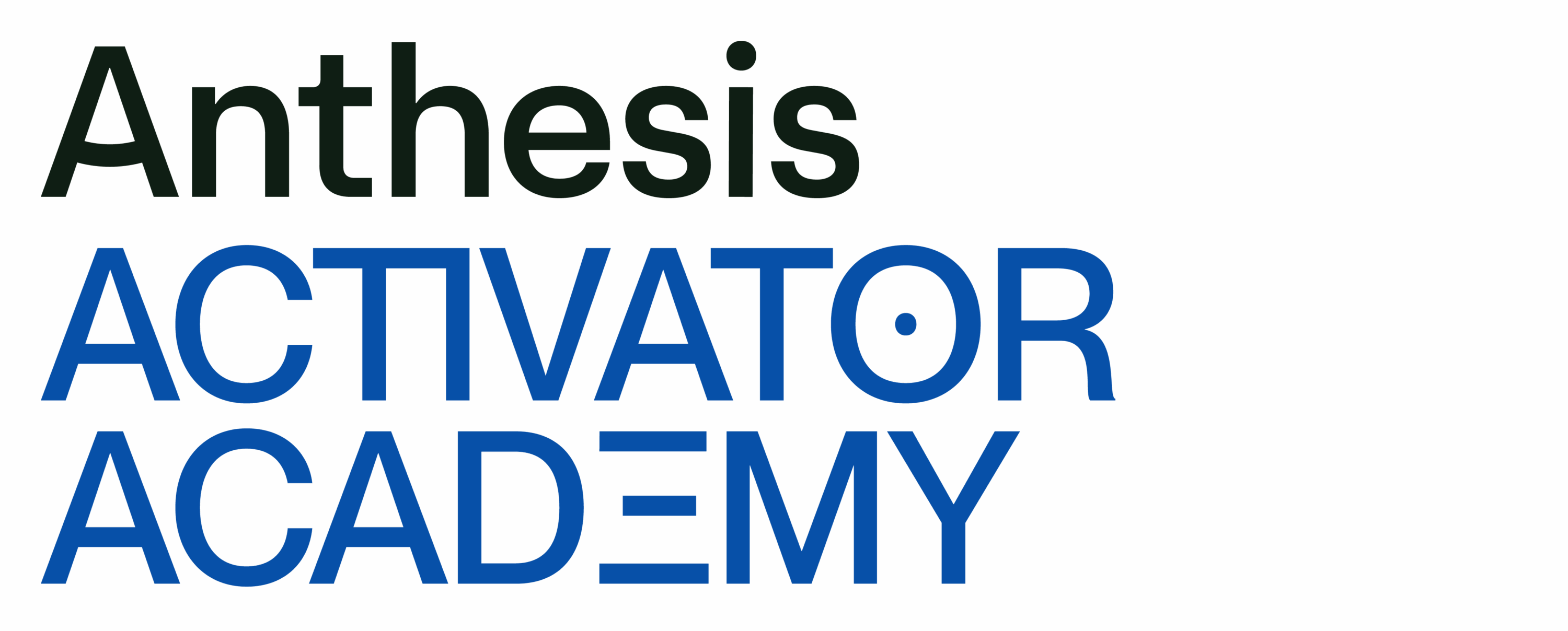 Digital anthesis activator academy
